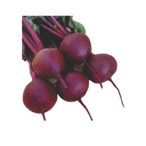Beet Root Hy. Red Coral