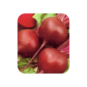 Beet Root Ruby Queen (O.P.)